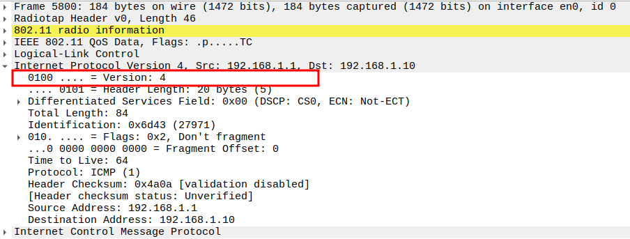 IP Version in ICMP Echo Request