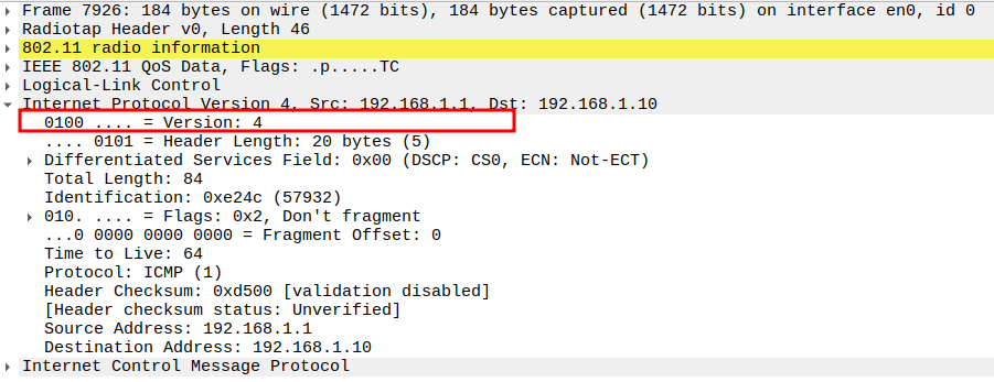 IP Version in ICMP Echo Request